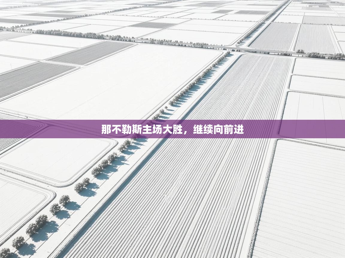 那不勒斯主场大胜，继续向前进  第2张