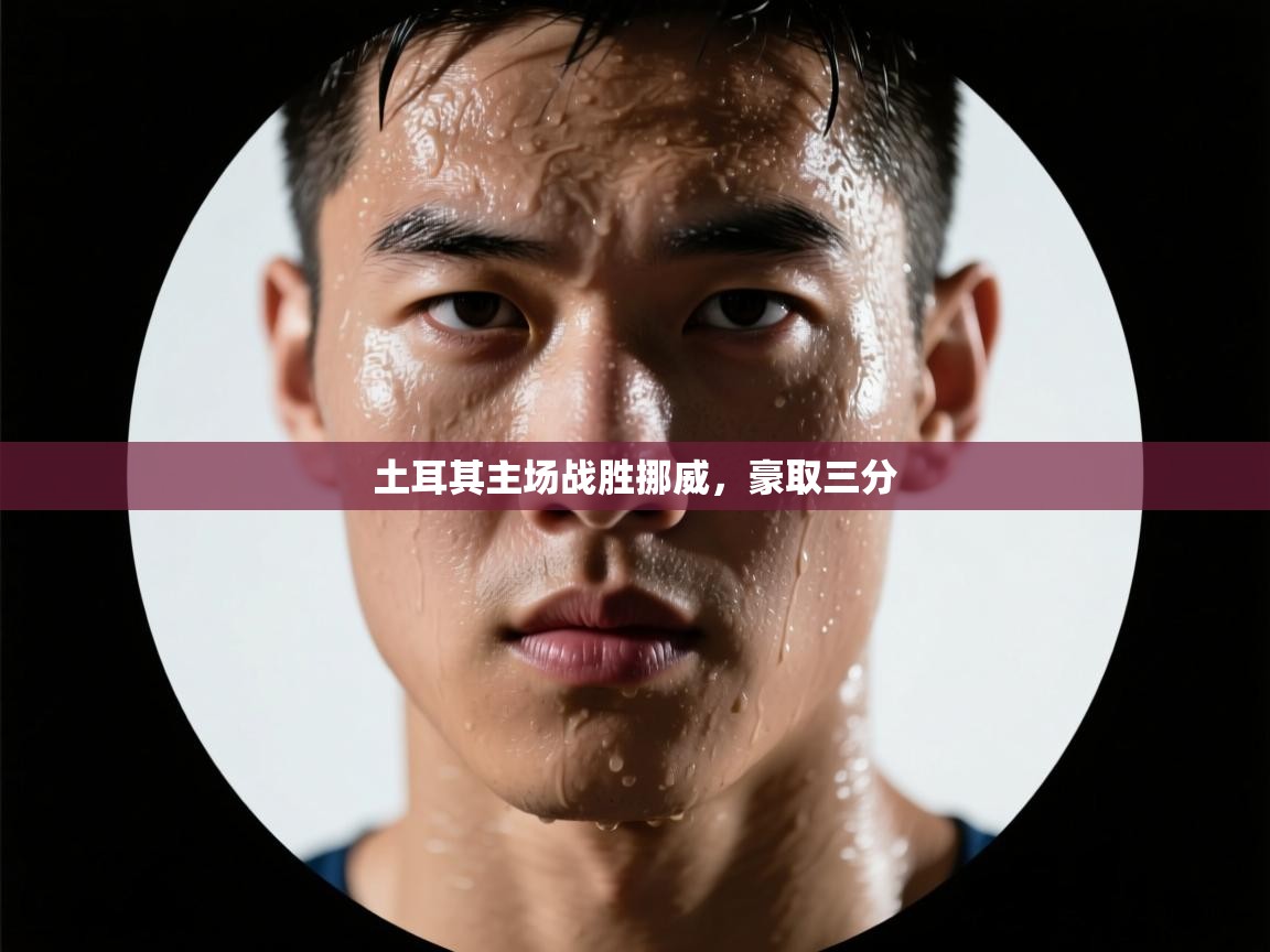 土耳其主场战胜挪威，豪取三分  第1张