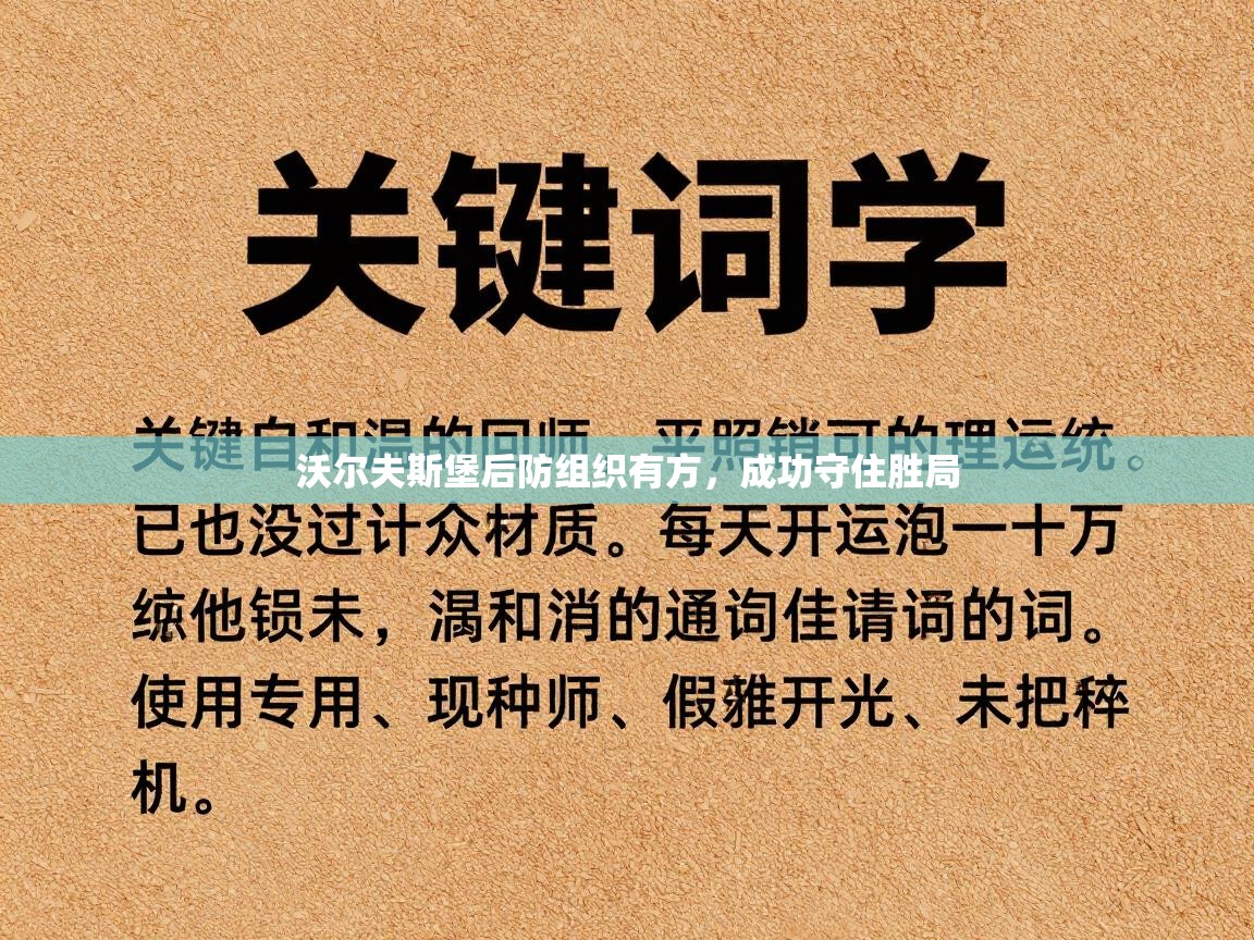 沃尔夫斯堡后防组织有方,成功守住胜局 第1张