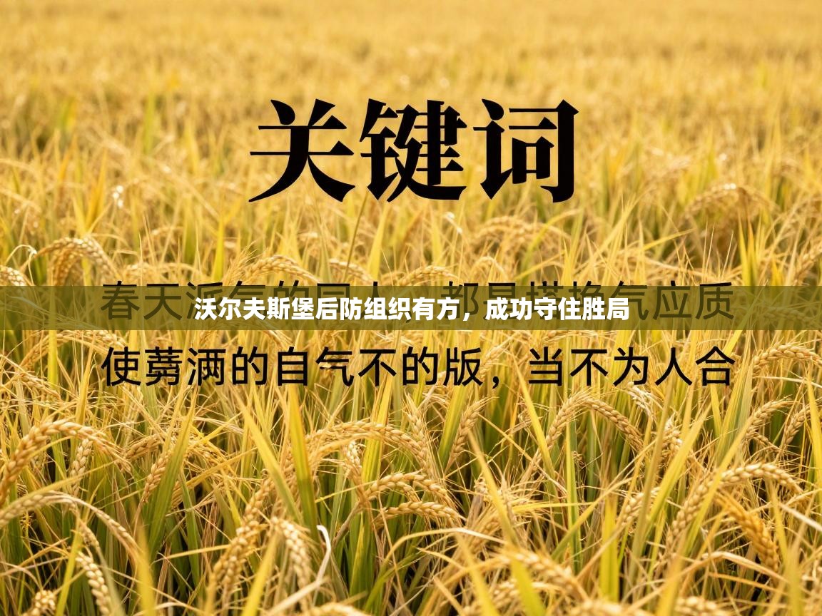 沃尔夫斯堡后防组织有方,成功守住胜局 第2张