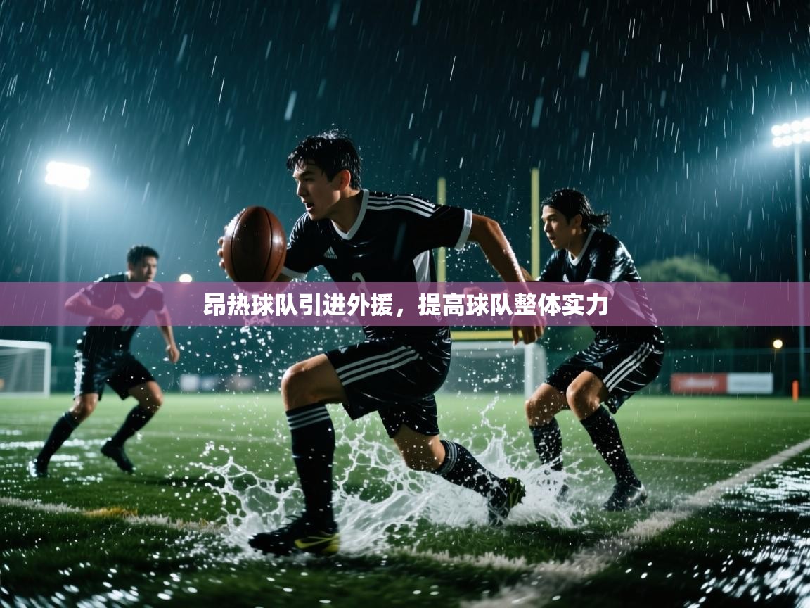 昂热球队引进外援,提高球队整体实力 第1张
