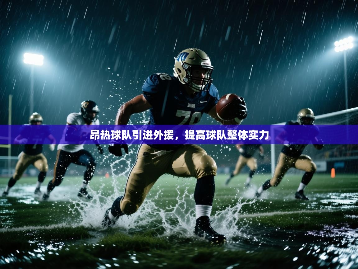 昂热球队引进外援,提高球队整体实力 第2张